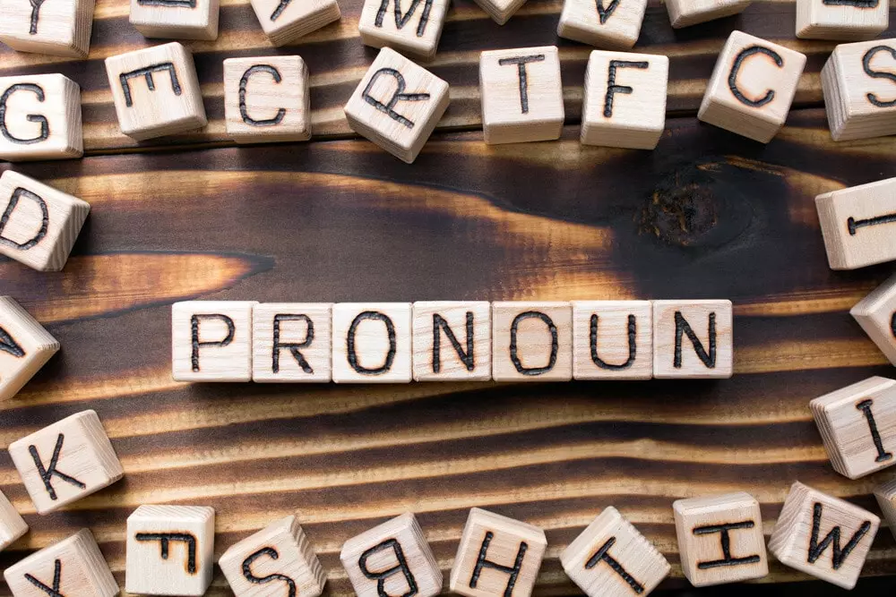 Fungsi Pronoun