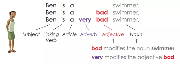 Adverb Modify Adjective
