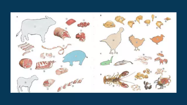 Meat, Poultry and Seafood Vocabulary